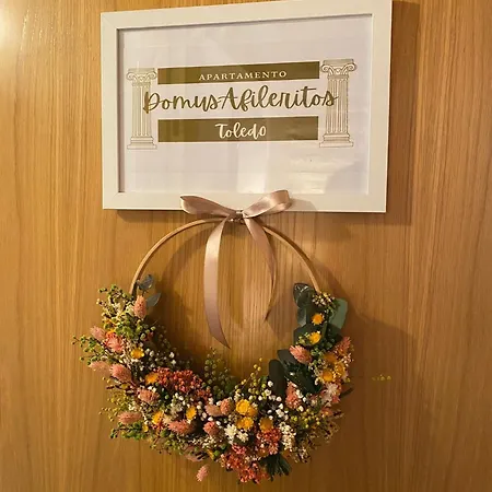 Domus Alfileritos Apartment Toledo
